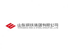 山东钢铁集团有限公司
